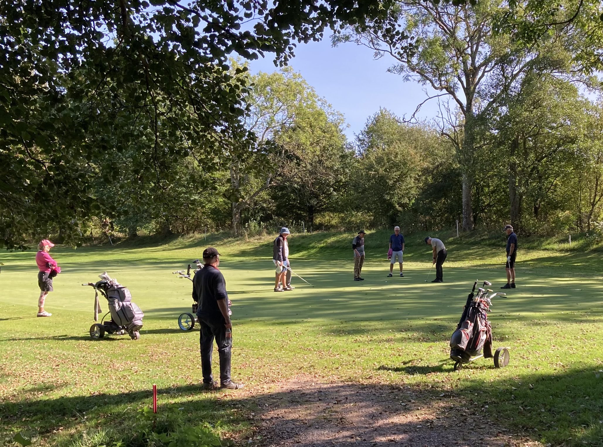 Seniorgolf