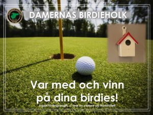 Birdieholken2024-1