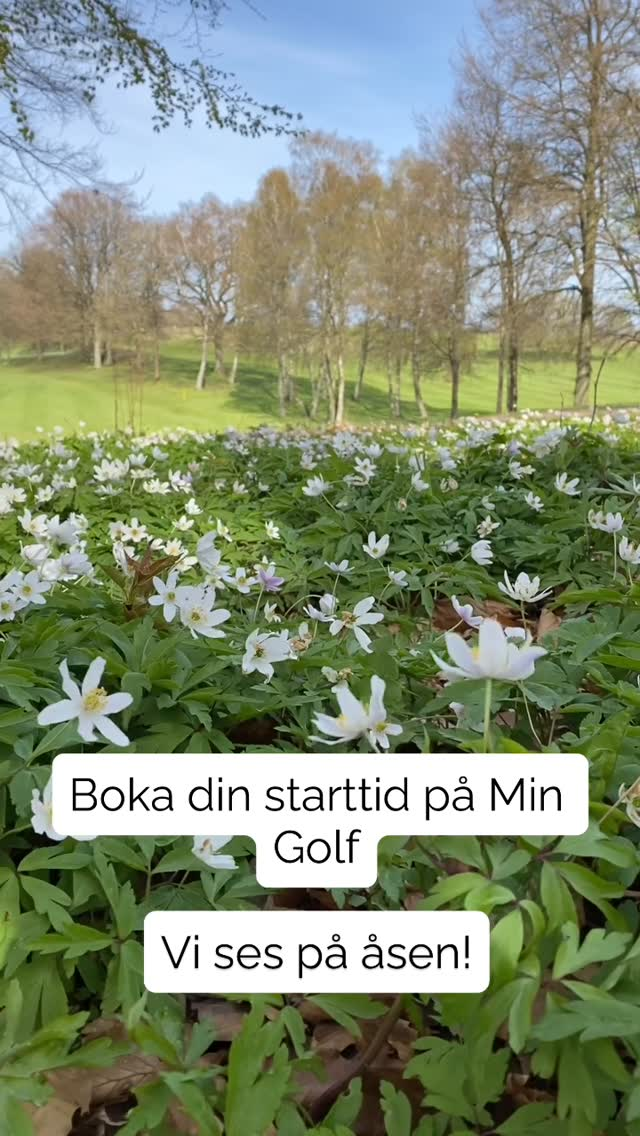 En vinter fylld av arbete och förbättringarNu är det dags att öppna upp igen!
Kika in i restaurangen och stora rummet och upplev förändringarna.Banan öppnar lördag 28/3Säkra din starttid via Min Golf!