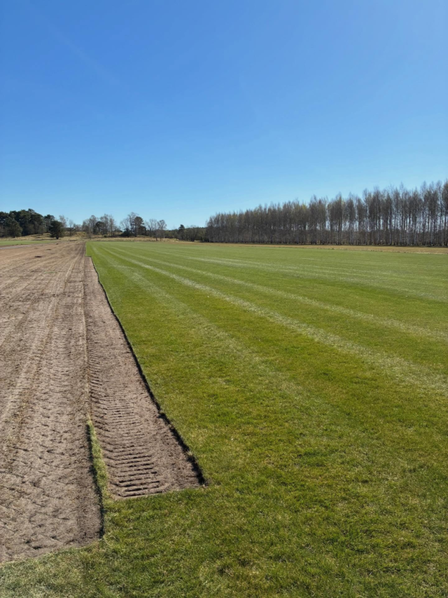Idag har vi hämtat gräs från Sövdemölla och rullat ut på vår igenlagda bunker på hål 16, det blev kanon! Vi hann även med att lägga igen grävningen på hål 9. Vänligen respektera MUA under några veckor så gräset kan rota sig.